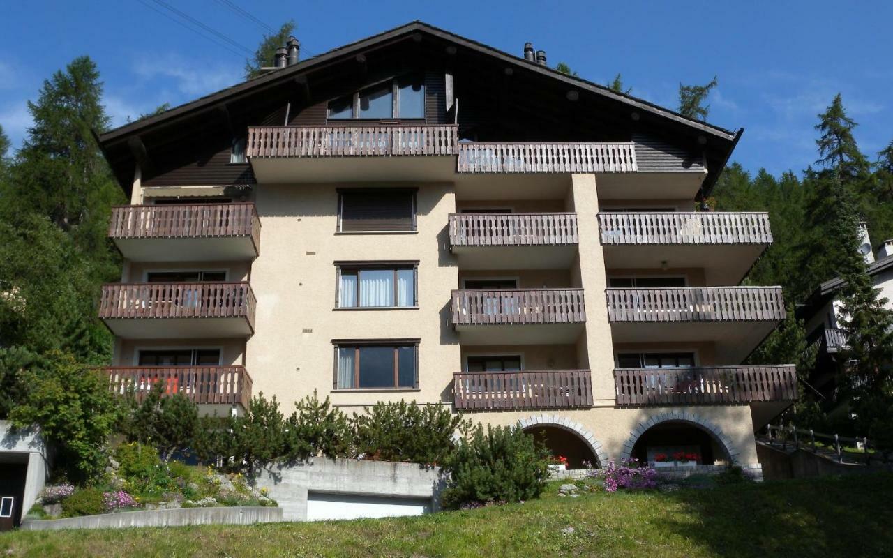 Giant 2 * St Moritz